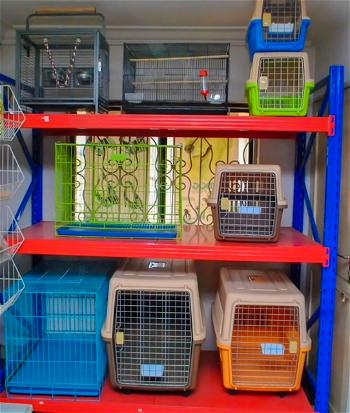 Get to know Africa’s best Pet supplies store