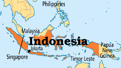 Indonesia landslide death toll rises to 50