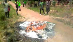 Thugs hijack, burn electoral materials in Ebonyi