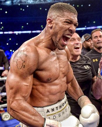 Joshua says Fury clash fight ‘the boxing world needs’