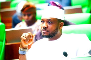 House okays Peller’s motion on strengthening creative industry