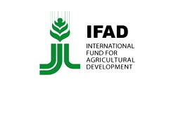 Launch of COSOP will strengthen agri-food systems in Nigeria- IFAD