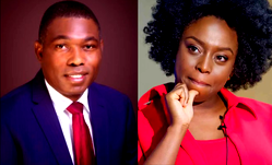 Stop writing int’l communities on Nigeria’s democracy, Adebayo tells Chimamanda