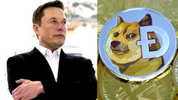 Cryptocurrency surges as Musk changes Twitter logo to ‘meme dog’