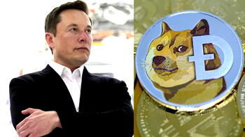 Cryptocurrency surges as Musk changes Twitter logo to ‘meme dog’