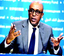 Funding squeeze to undermine devt in Nigeria, others — IMF