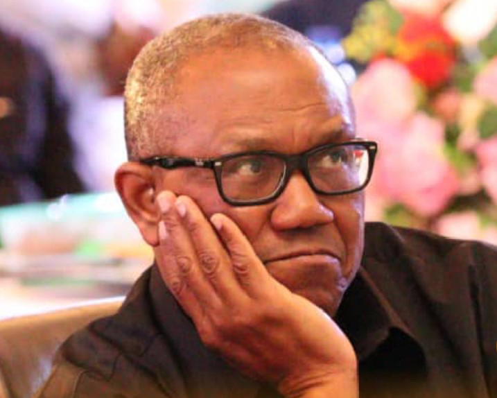 I'm under pressure to leave Nigeria - Peter Obi - Vanguard News