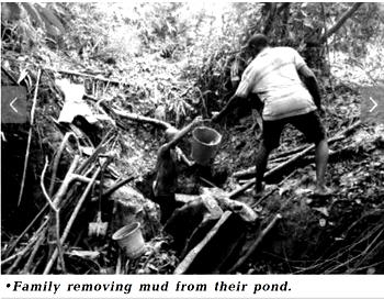 Thieves overrun 500 ancestral fishponds in Rivers community