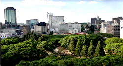 Zimbabwe: Reversing malnutrition through food security