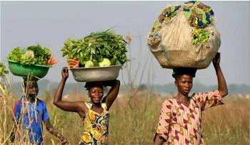 Zimbabwe: Boosting women’s nutrition to improve economy