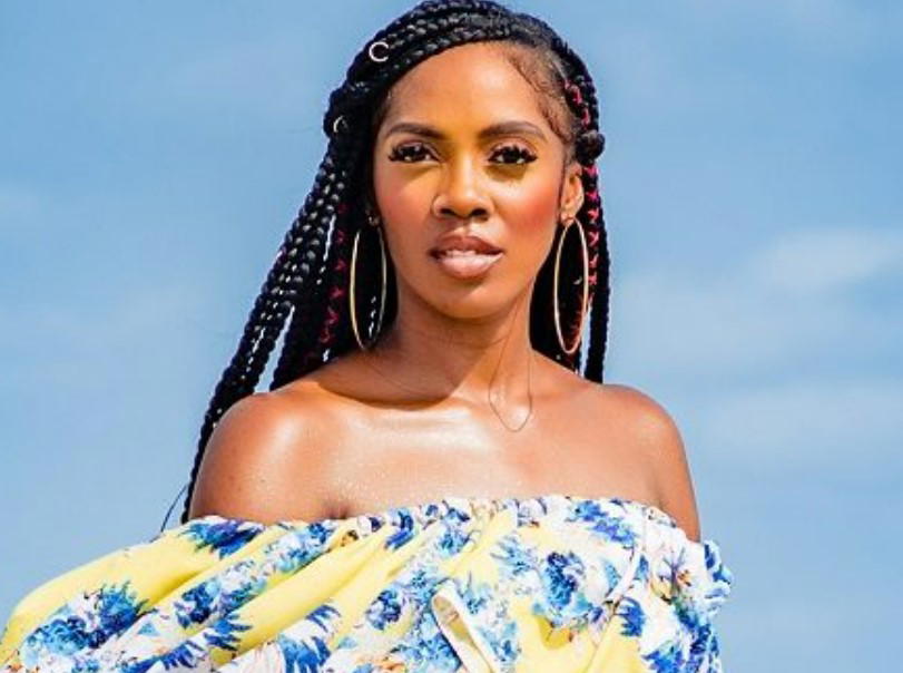 Iconic Looks Of Tiwa Savage That Earned Her The Nickname African   Tiwa Savage 