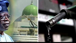 Fuel subsidy removal: Nigerians may pay N750 per litre