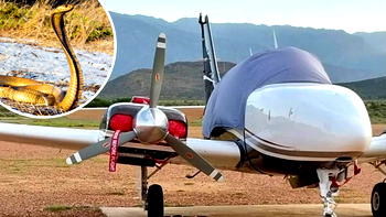Snake in plane forces South African pilot into emergency landing