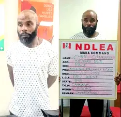 NDLEA arrests Lekki businessman with illicit drugs
