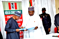 Illicit drugs: NDLEA, Customs vow to inflict loss on cartels