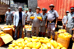 Customs seizes over N2bn worth of goods in 3 months; 13 suspects arrested in Imo