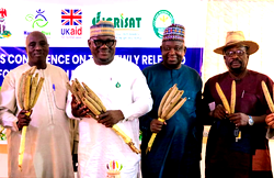 Millet varieties unveiled to combat hunger, malnutrition