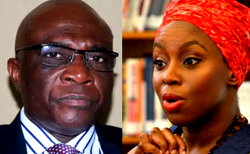 Onanuga urges Biden to trash Chimamanda’s open letter