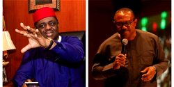 Breaking law knowingly or not you’ve case to answer – Fani-Kayode slams Peter Obi  