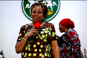 Genotype, blood match tests, key to healthy procreation in marriages, says Soludo 