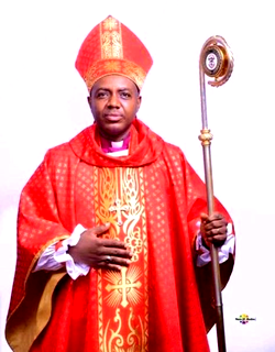Naira redesign didn’t reduce kidnapping, hoodlums busy with election — Anglican bishop