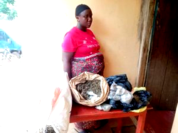 NDLEA arrests pregnant woman, cripple in Edo with assorted illicit drugs