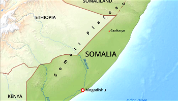 How violent conflicts erode agro-food systems: The Somalia experience