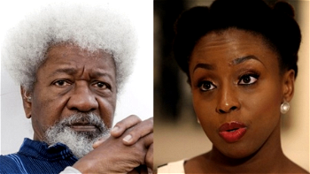 Soyinka, Chimamanda and Obi-Dients: When does opinion cross the line?