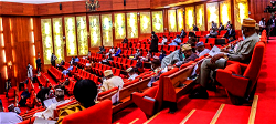 Senate urges police to recover 36 children trafficked out of FCT