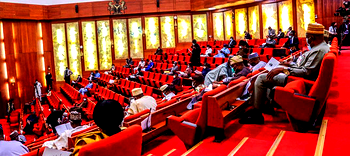 Brain drain: Senate seeks improved budgetary allocations to universities