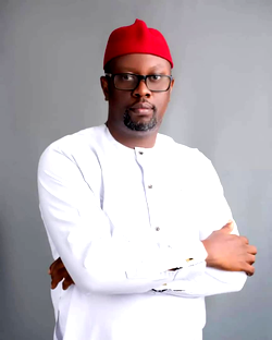 INEC lied, my constituency, not IPOB enclave — Abia deputy speaker