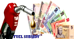 Subsidy removal, forex crisis: Why price adjustments are inevitable