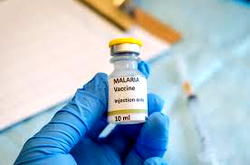 Ghana becomes first country to approve ‘world-changer’ malaria vaccine&nbsp;