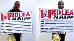 Two businessmen excrete 193 pellets of cocaine in NDLEA custody