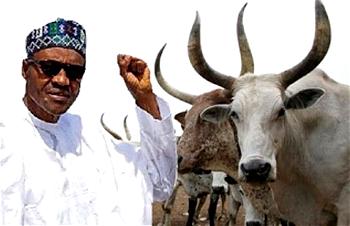 My cows easier to control than Nigerians – Buhari