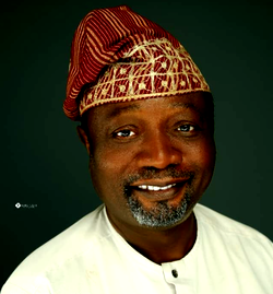 Buhari appoints Odusanya as Director General of NACETEM