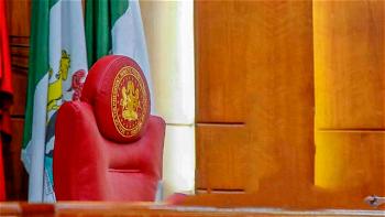 10th NASS: Senate presidency should reflect competence, integrity, not ethnicity – AYCF
