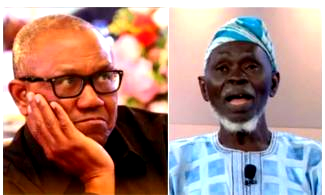 May 29: Peter Obi’s request unconstitutional; Tinubu must be sworn in — LP’s Lamidi Apapa