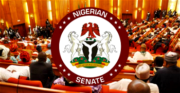 NASS moves against electricity tariff hike, estimated billing