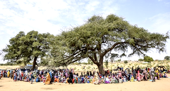 Sudan crisis: Thousands of Sudanese make dangerous trek for safety in Chad