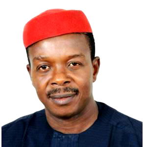 10th NASS: Imo North Senator-elect, Ndubueze, joins race