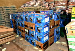 Flood: FG provides succour for victims in Ondo, distributes relief materials