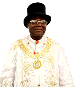 ANAN already ruling Africa, we can rule the world — Neminebor, new President