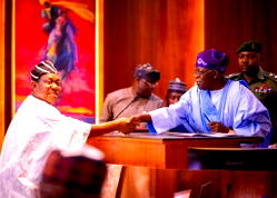 SGF: Nigerians will benefit from Akume’s experience – Northern Elders