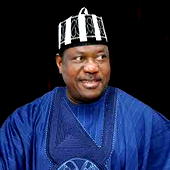 Democracy Day: We’ve not attained democratic heights envisioned – SGF