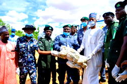 Customs hand over 414 sacks of donkey meat to NAQS