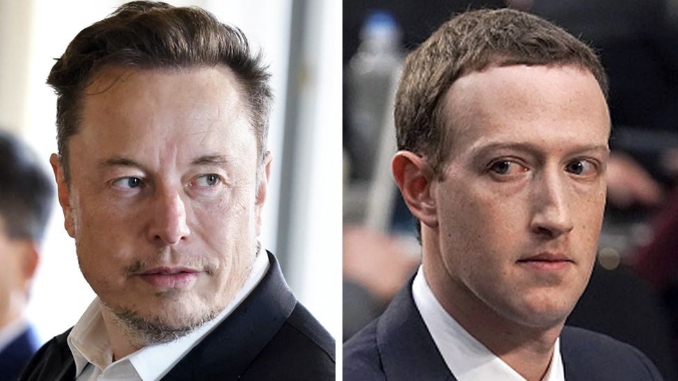 Elon Musk and Mark Zuckerberg agree to have cage fight