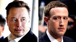 Elon Musk chooses UFC legend to train him for Mark Zuckerberg fight