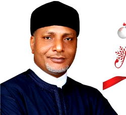 North Central Commission to spur infrastructural development — Senator Mustapha