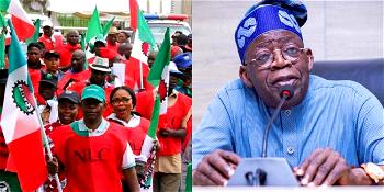 Tinubu has immediate solution for effect of subsidy removal – Oshiomhole